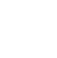 igloo vision logo