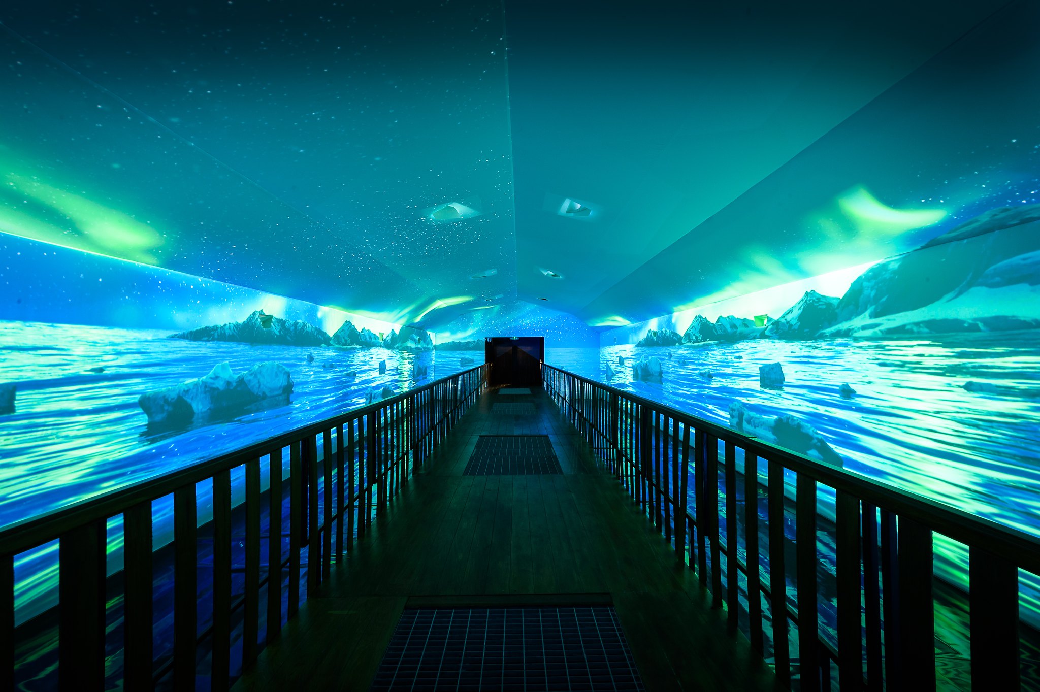 A Guide To Create A Shared Immersive Space | Igloo Vision