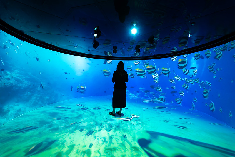A woman is stood in a virtual reality cylinder as it projects and under the sea video around her.